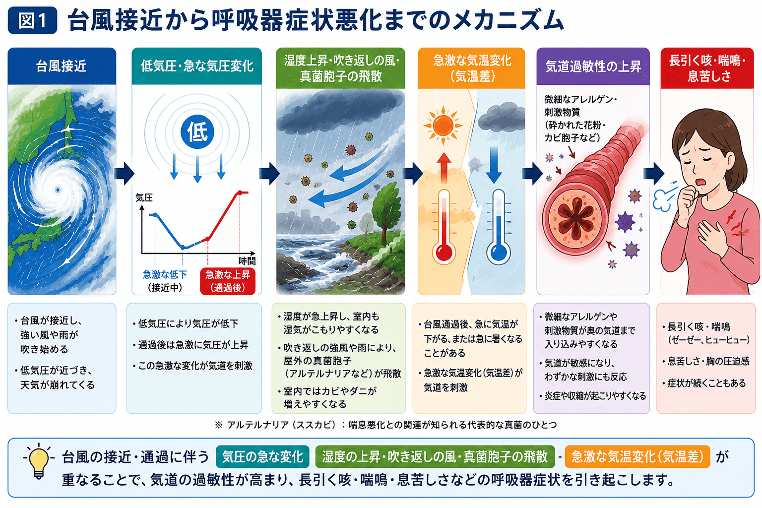 台風接近により低気圧、急な気圧変化、湿度上昇、気温差が起こり、気道過敏性が高まって咳や喘息症状につながることを示した図