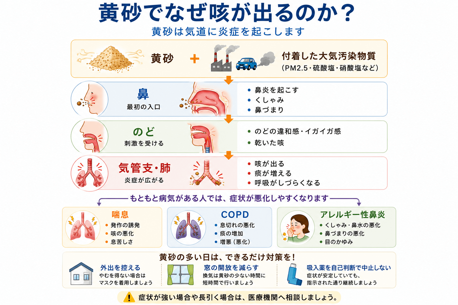 黄砂が鼻、のど、気管支に刺激を与え、咳や喘息、COPD悪化につながることを示した図